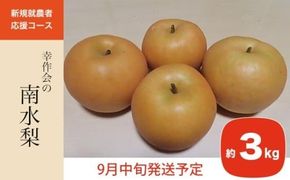 梨 南水 約3kg ［新規就農者応援コース 幸作会］ 梨 なし フルーツ 果物 長野県産 信州 数量限定 【2025年9月中旬発送】［K-42］