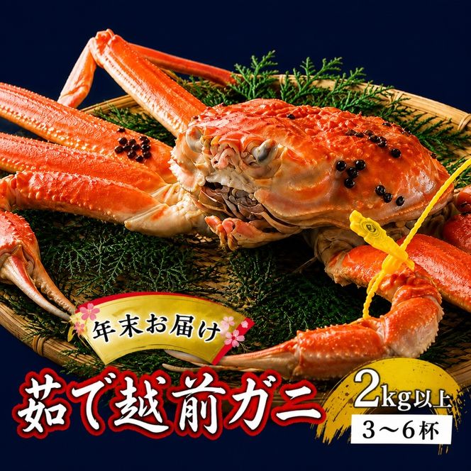 茹で越前ガニ【年末お届け】食通もうなる本場の味をぜひ、ご堪能ください。約2kg以上（3～6杯）訳あり（脚折れ含む）越前がに 越前かに ずわいがに かに カニ ボイルガニ 蟹 