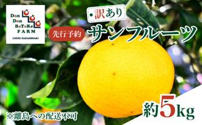 先行予約】【訳あり】新甘夏 サンフルーツ 約5kg |柑橘 みかん 果物 フルーツ 愛媛県産 西宇和産 農家直送 ※離島への配送不可　※2027年3月中旬より順次発送予定 IKTAU017
