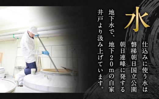 大洋盛 セット SW（720ml 飲み比べ 2本セット） 大洋酒造 サケ×サケ大洋盛 和醸 日本酒 お酒 酒 新潟県 1009011