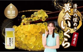 AV002　清流の煌めき　黄金いくら