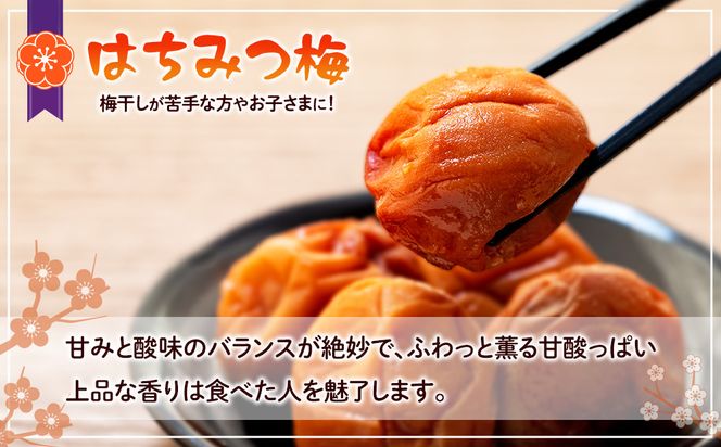 訳あり つぶれ 梅干し 500g×10パック 合計5kg はちみつ 塩分 約5％［TR2w］ 304018_CS019