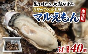 牡蠣 厚岸のブランド牡蠣 マルえもん 3Lサイズ 40個 生食用 魚貝類 海鮮 海のミルク 国産 生食用殻付き牡蠣 まろやか クリーミー 食べやすい品種 海の香り 牡蠣の酒蒸し 焼き牡蠣 マルえもん