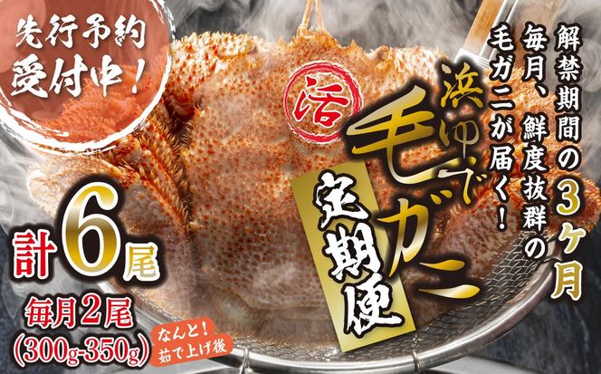 ＜ 2027年2月上旬より発送開始 ＞ 【 定期便 全 3回 】 北海道産 浜ゆで 毛ガニ 2尾 × 3回 （ 計 6尾 ） 毛蟹 毛がに かに味噌 カニ味噌 新鮮 旬 ボイル 浜茹で 海鮮 海産物 ＜ 予約受付 ＞