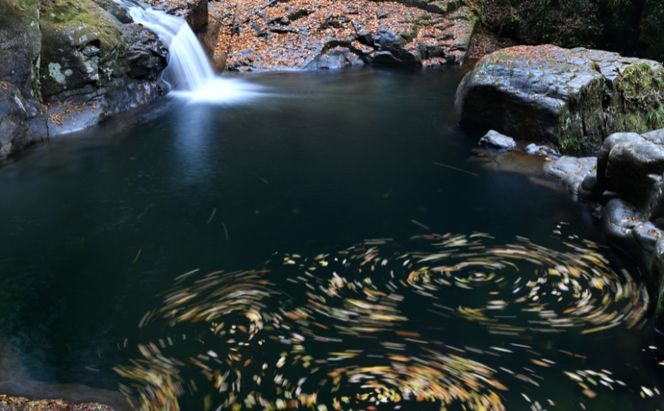 【光と水の幻想体験】赤目四十八滝招待券（1名様）| チケット 券 お出かけ 体験
