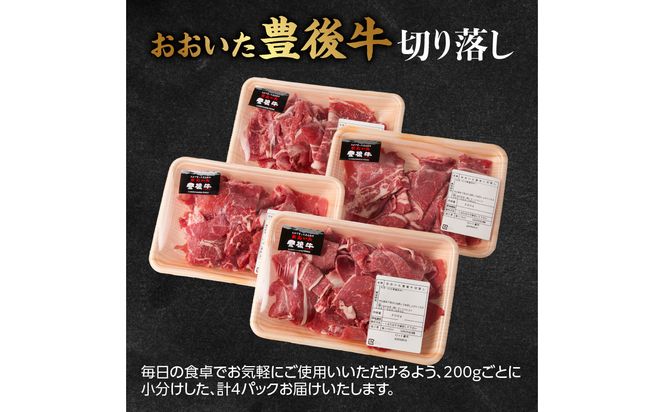 【A01149】【期間限定】おおいた豊後牛切り落し 200g×4P＋おおいた和牛生ハム 50g×1P