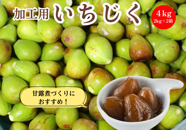 期間限定 加工用 生いちじく 4kg（2kg×2)  秋田県にかほ市産 北限のいちじく ブルンスウィッグ