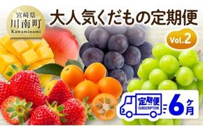 【6ヶ月定期便】大人気くだもの定期便Vol.2【 川南町産 くだもの いちご イチゴ きんかん マンゴー シャインマスカット ピオーネ  】[B11707t6]