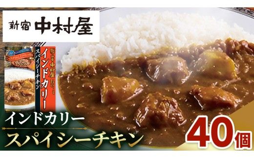新宿 中村屋 インドカリー スパイシーチキン 40個 レトルト レトルトカレー カレー 常温 温めるだけ 人気 洋食 時短 インドカレー スパイシーカレー 長期保存 災害用 保存食 レンチン レンジ [DM010us]