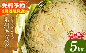G4292 【先行予約】泉州キャベツ 5kg 2～5玉 射手矢農園 訳あり サイズ不揃い【新鮮 野菜 泉佐野産 やさい 射手矢農園 高評価 数量限定】