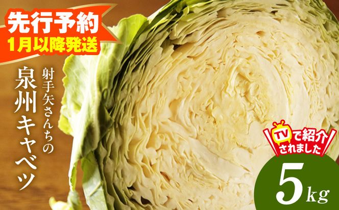 G4292 【先行予約】泉州キャベツ 5kg 2～5玉 射手矢農園 訳あり サイズ不揃い【新鮮 野菜 泉佐野産 やさい 射手矢農園 高評価 数量限定】