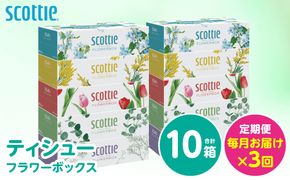 【定期便3回】【毎月お届け】【スコッティ】 ティシュー フラワーボックス 250組 10箱 計30箱 ティッシュ 日用品 生活必需品 消耗品 紙 まとめ買い 備蓄 防災備蓄 デザインボックス ストック 新生活 防災 生活用品 日用消耗品 箱ティッシュ