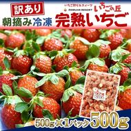 まるは食堂 マルハリゾート いちごの丘 『訳あり』 完熟 冷凍いちご 500g | 訳あり いちご イチゴ 冷凍 国産 完熟 スムージー ジャム ヨーグルト シャーベット デザート アイス おやつ 果物 フルーツ 愛知県 美浜町 ※北海道・沖縄・離島への配送不可