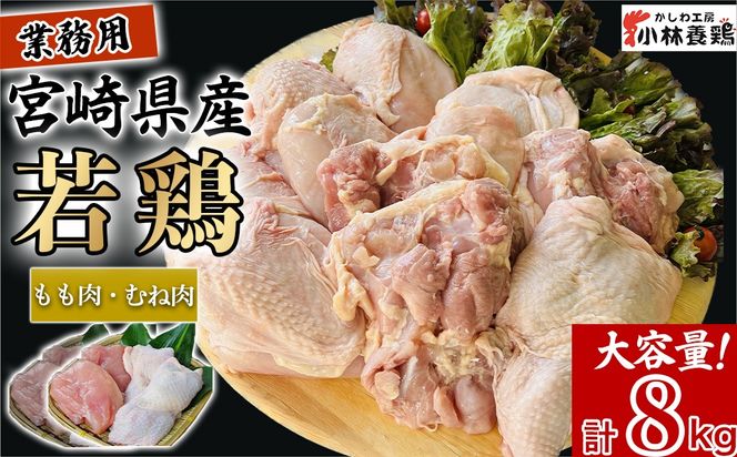 y{茧юszyƖpz{茧Y{ ނ˓ eʃpbN v8kg Y { {  ނ˓ Ⓚ lߍ킹 Zbg e Ɩp p
