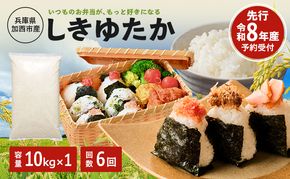 【令和8年産 先行受付】しきゆたか 白米 10kg