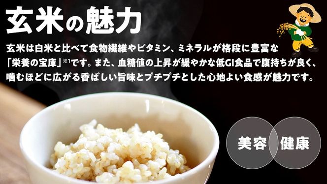 【最短2営業日出荷】 コシヒカリ 玄米 30kg 茨城県 つくばみらい市産スピード発送 お米 米 おこめ こめ コメ 30キロ こしひかり 令和7年産 大容量 玄米食 低GI
