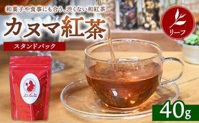 【通好みの茶葉】カヌマ紅茶 リーフ 40g スタンドパック | 和紅茶 紅茶 ティーパック 国産 茶 茶葉 リーフ 希少 プレゼント ギフト ご自宅用 家庭用 栃木県 鹿沼市 板荷