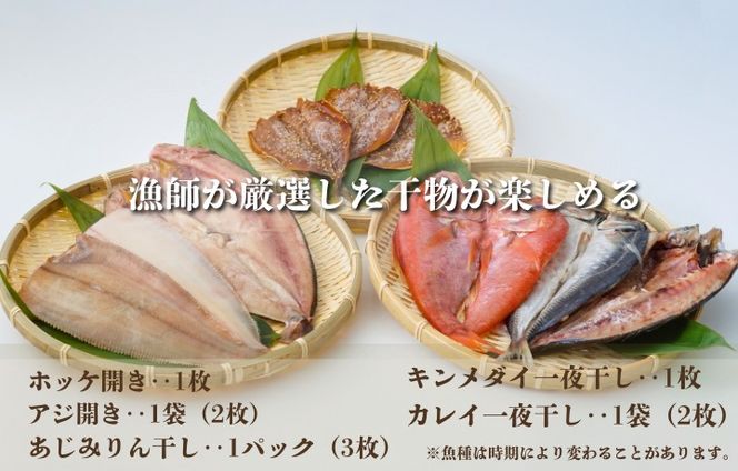 北野水産加工おすすめ干物詰合せ【道の駅むなかた】_HA1819