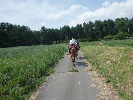 乗馬 体験 まきば軽井沢 どーんと150分 乗馬体験 1名様 長野 信州 小諸 大自然 体験チケット 