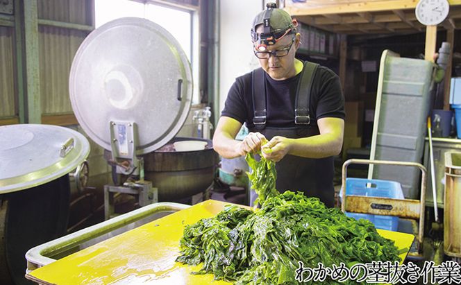 風味豊かな 瀬戸内 わかめ 22g×6袋 エビス水産【岡山 瀬戸内海 天然 カットわかめ】 常備菜 無添加 無着色 味噌汁 炊き込み 