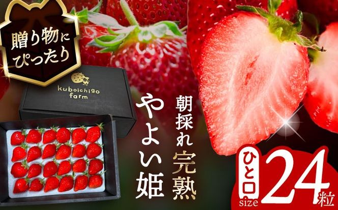 ymszys\z _N12菇^ 悢P 24 ʕ  t[c s / 䕔_ yzBsFkCEEz[AECJ014]