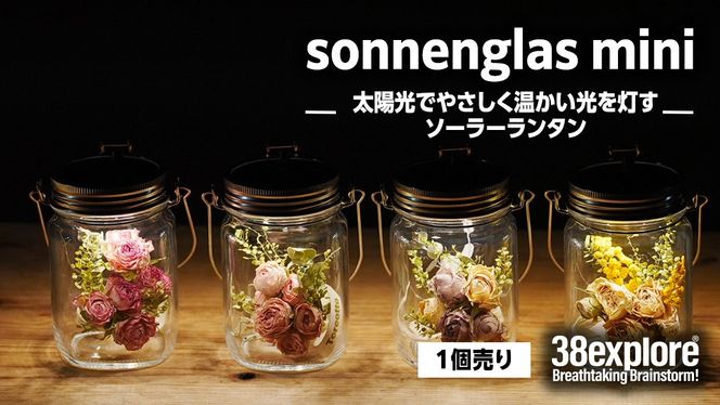 ソネングラス 38explore 箱付き sonnenGlass sonnenglas mini 38explore toreotto38 38kenkyujo8