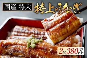 国産　特大　特上うなぎ 2尾 合計 380g 以上【OT000O190】