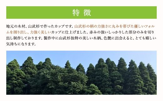 山武杉カップ SMP004