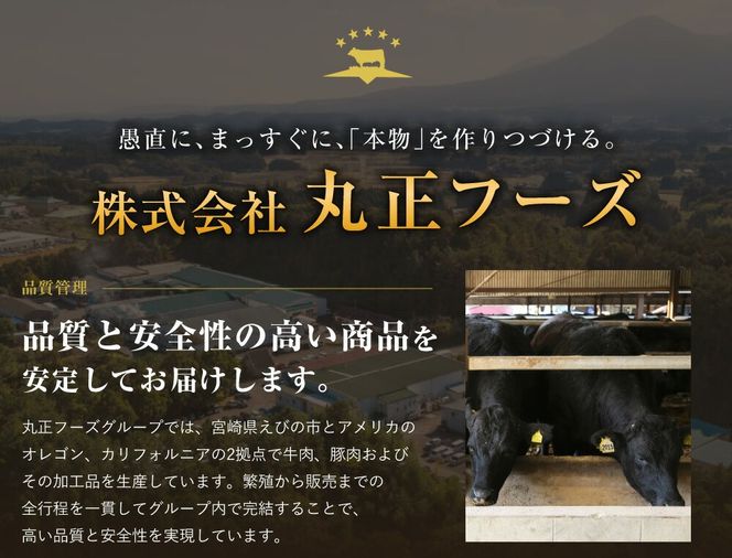 【720牧場グループ牛】自社牧場肉と国産野菜のビーフシチュー 170g×6パック 「720牧場グループ牛」100％使用 ビーフシチュー デミグラスソース 牛肉 惣菜 レトルト おかず 保存食 レンジ 簡単調理 おうちごはん 宮崎県 えびの市 送料無料