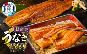 a20-129　静岡うなぎ漁協 うなぎ蒲焼(長焼)セット