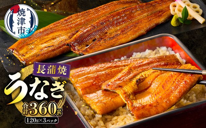 a20-129　静岡うなぎ漁協 うなぎ蒲焼(長焼)セット