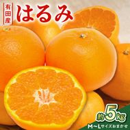【2027年先行予約】【厳選・濃厚】紀州有田産の はるみ 約5kg (M～Lサイズおまかせ)_ZD7033