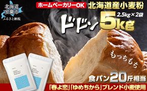 北海道産 「春よ恋」「ゆめちから」ブレンド小麦粉 パウダースノー（パン用強力粉）5kg MROBI010
