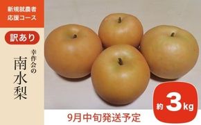 【訳あり】南水 約3kg ［新規就農者応援コース 幸作会］ 梨 なし フルーツ 果物 ワケアリ 傷 キズ 不揃い 規格外 家庭用 長野県産 信州 数量限定 【2025年9月中旬発送】［K-41］