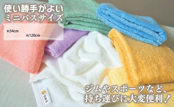 099H2956 【e-たおる】ミニバスタオル 3枚（ブラウン）34cm×120cm 【泉州タオル 国産 吸水 普段使い シンプル 日用品】