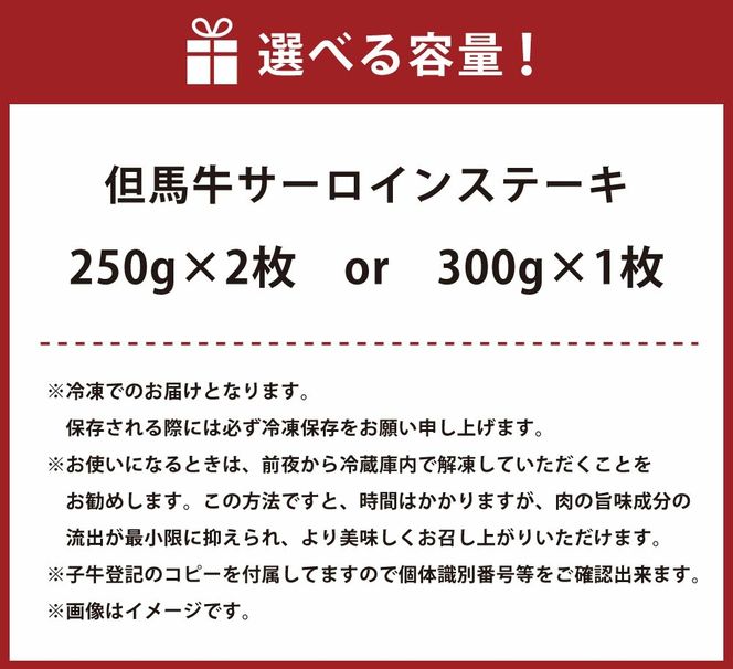 【ふるさと納税】但馬牛 サーロインステーキ 選べる 300g×1枚 or 250g×2枚 肉 お肉 牛肉 黒毛和種 和牛 サーロイン ステーキ 冷凍 国産 お取り寄せ ブランド牛 【配送不可地域：離島】【1098410】【1098414】送料無料 兵庫県 新温泉町