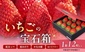 いちご 2027年 先行予約 いちごの宝石箱 1箱 12粒入り イチゴ 苺 果物 岡山県 赤磐市 
