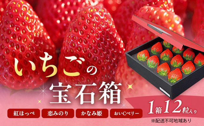 いちご 2027年 先行予約 いちごの宝石箱 1箱 12粒入り イチゴ 苺 果物 岡山県 赤磐市 