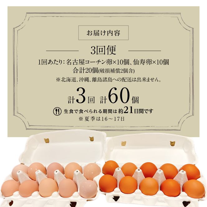 【3回便】名古屋コーチン卵・仙寿卵お試しセット（各10個入り）×3回（計各30個） [006K02-T]