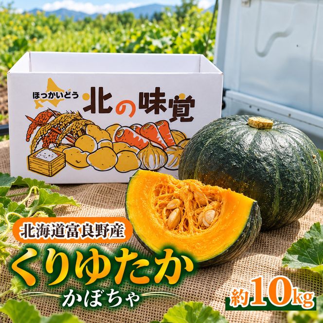 【2026年秋～発送】北海道 富良野産 くりゆたか カボチャ 10kg かぼちゃ (山本農園) 野菜 新鮮 直送 いも 道産 送料無料 数量限定 先着順 北海道 富良野市 ほくほく 秋