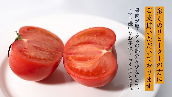 フルーツトマト 大箱 約2.6kg × 3箱 【大玉 20〜35玉/1箱】 2026年産 糖度7度 以上 野菜 フルーツ トマト とまと [AF074ci]