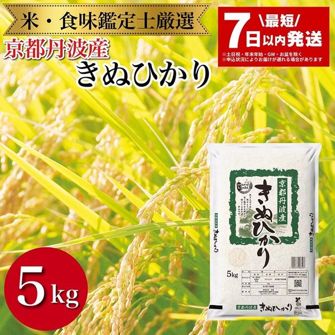 【7日以内発送】京都丹波産 きぬひかり 5kg ※米食味鑑定士厳選 ※精米したてをお届け【京都伏見のお米問屋が精米】新米 米 令和6年産 ※北海道・沖縄・離島への配送不可