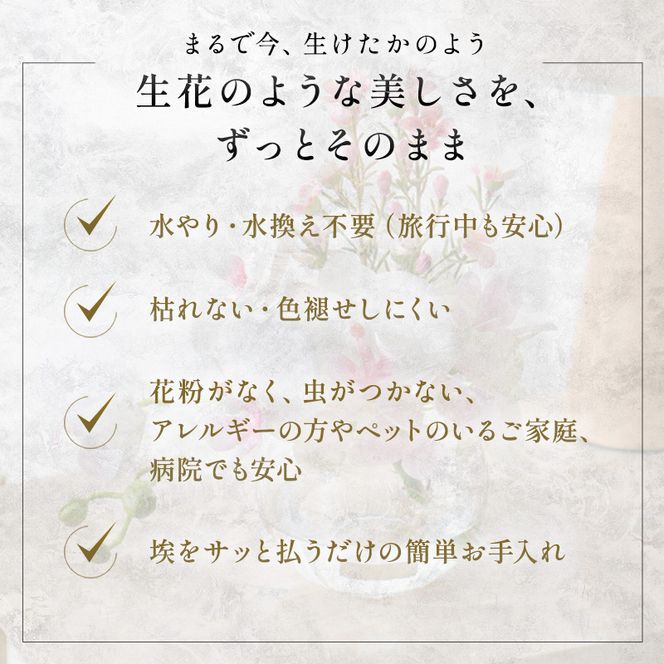 エミリオロバ　仏花セットB　ファレノプシスリップピンクS 2個セット
