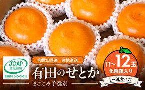 ZE6496_【まごころ手選別】　せとか　化粧箱入り　(11～12玉)