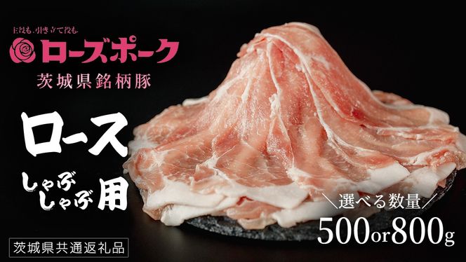 y錧΂݂炢sz_ Iׂe ^y [Y|[N z ؃[XԂԗp 500g / 800g(錧ʕԗi)   ؓ Y Y  uh ؃[X  Ԃ