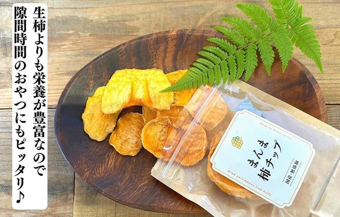 ドライフルーツ 柿チップ 200g ( 40g × 5袋 ) 和歌山県産 果物使用 自社製造 【みかんの会】  AX56