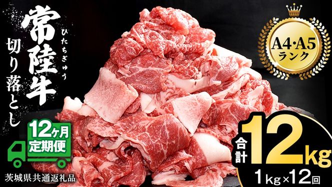 【 12ヶ月 定期便 】『 常陸牛 』 切り落とし 1kg ( 500g × 2パック ) 牛肉 国産 牛 肉 切り落とし肉 切落し 小分け お肉 A4 A5 ブランド牛 黒毛和牛 和牛 国産黒毛和牛 国産牛 すき焼き すきやき ( 茨城県共通返礼品 )