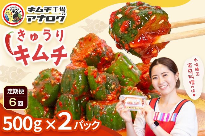 【6カ月定期便】熟成秘伝のオイ(きゅうり)キムチ(500g×2パック)【きゅうりキムチ 発酵キムチ 本格キムチ 国産手作り ご飯のお供 国産きゅうり 九州産 旨辛 特製ダレ】(H104211)