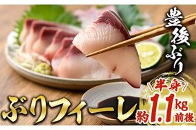 豊後ぶりフィーレ (計約1.1kg) 鰤 真空パック 刺身 さしみ 刺し身 照り焼き ブリしゃぶ しゃぶしゃぶ 大分県 佐伯市【GD002】【東海シープロ (株)】