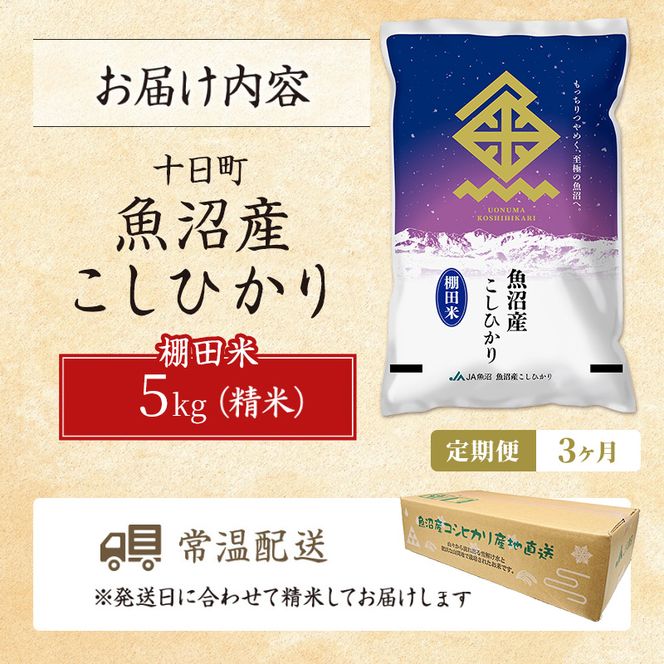 【3ヶ月定期便】魚沼産こしひかり 棚田米(十日町地域) 精米 5kg  米 お米 コシヒカリ 定期 十日町市